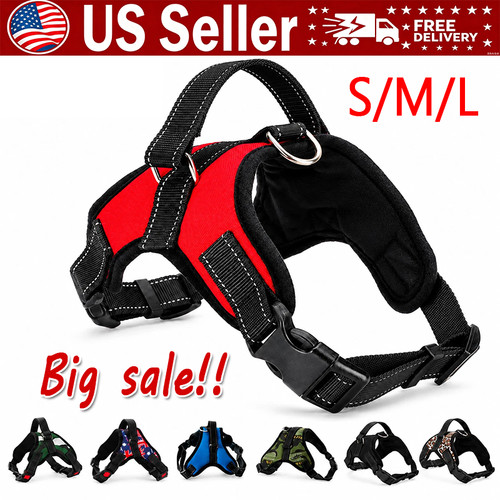 Pull dog pet - no, harness