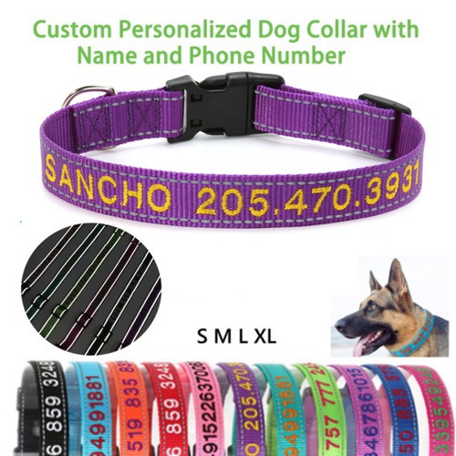 Personalized dog collar - personalized, –