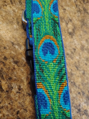 Lupinepet dog collar original - lupinepet,
