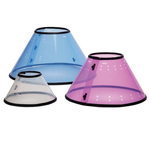 Elizabethan dog collar cone - elizabethan,