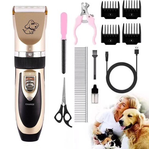 Dog cat pet - pet, kit