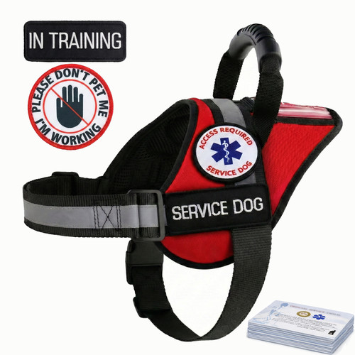 Service dog vest - service,