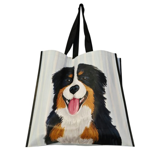 Bernese mountain dog border - dog,