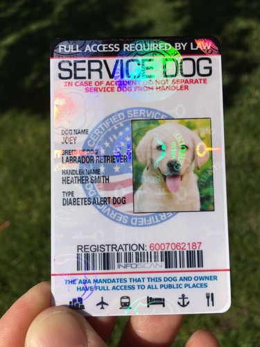 Service dog card - id,
