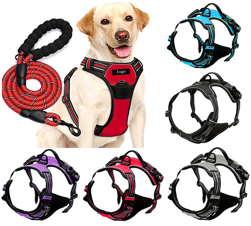 Dog harness training leash - harness, &