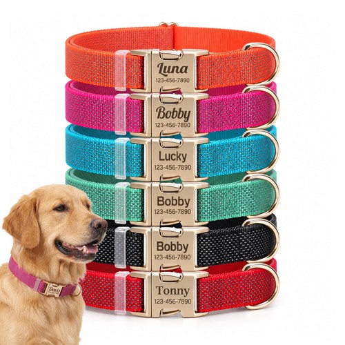 Personalized dog collar with - dog,