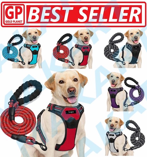 Dog harness training - dog, &