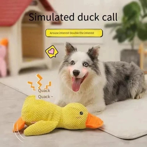 Indestructible dog toy 2026 - dog,