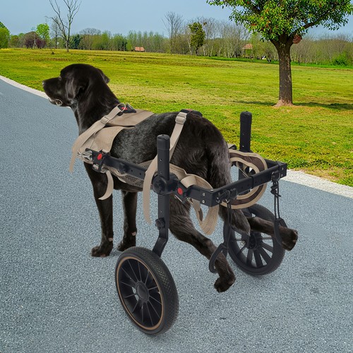 Dog wheelchair for back - dog, legs