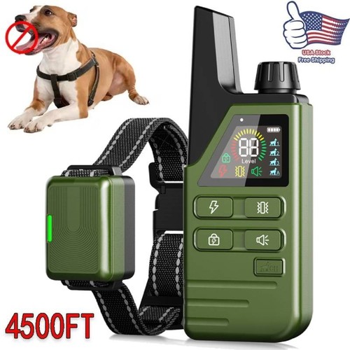 4500 dog training collar - dog,