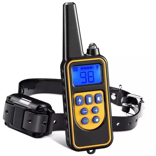 3000 dog training - training, us