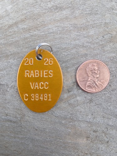 Rabies vaccination tag dog - 1,