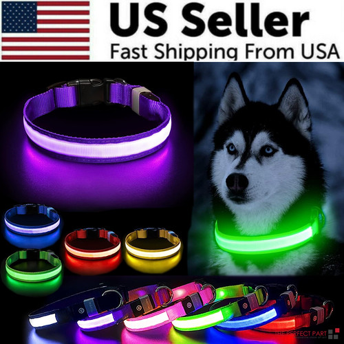 Led adjustable dog collar - led,