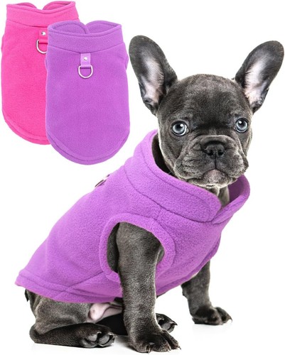 Pack dog sweater - pack, leash