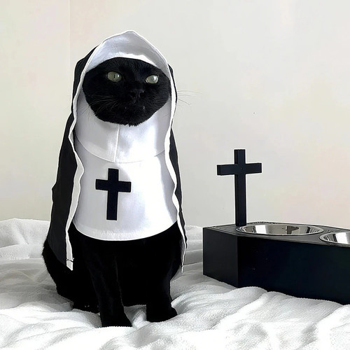 Halloween cat dog nun costume - nun,
