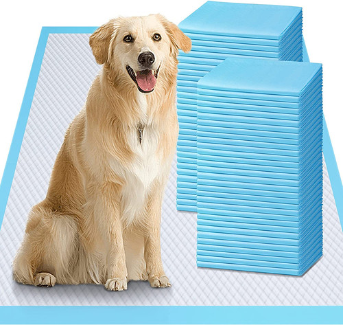 100pcs dog pee pads - dog,