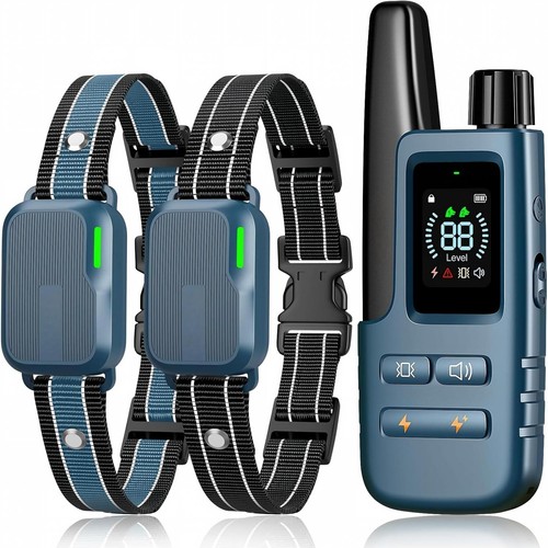 Dog shock collar dogs - dog, 2