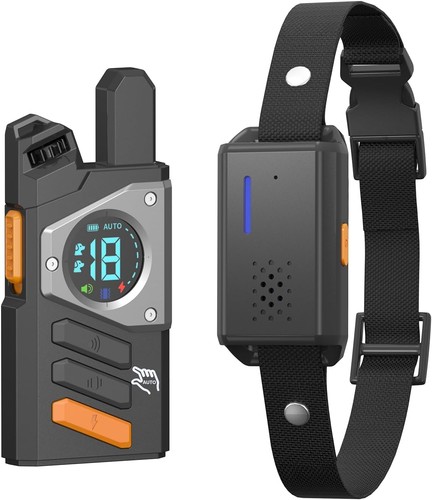3300 dog training collar - dog,