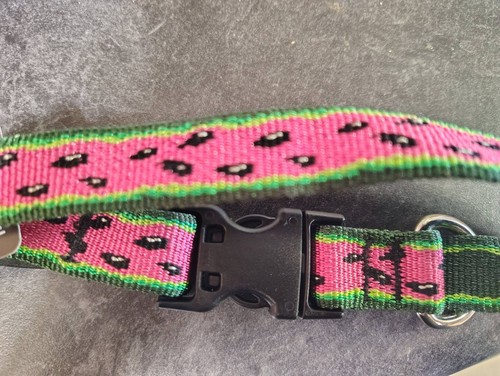 Lupinepet dog collar - dog, original