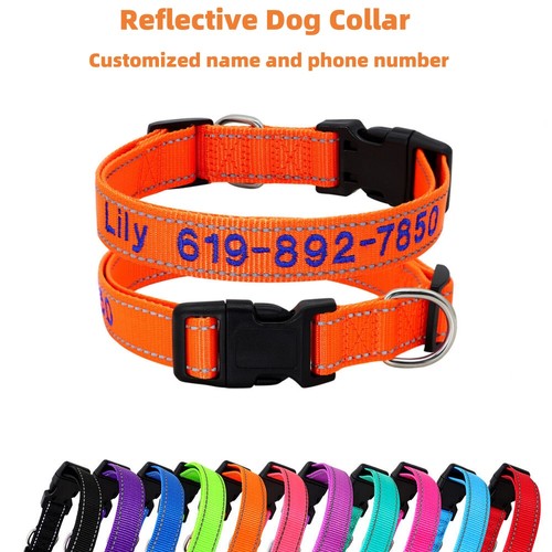 Embroidered dog collar - dog,